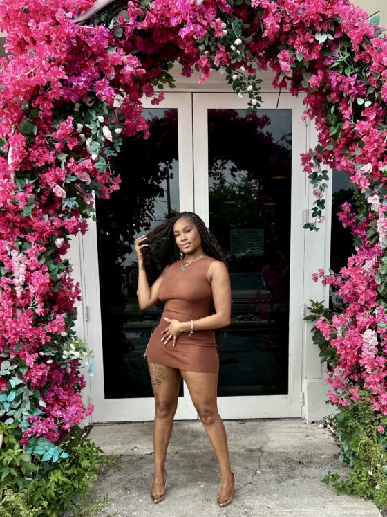 Cocoa Crush Mini Dress - Image 3