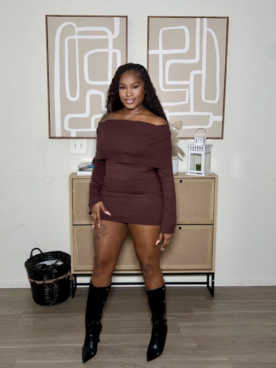 Fall for me sweater dress - Image 3